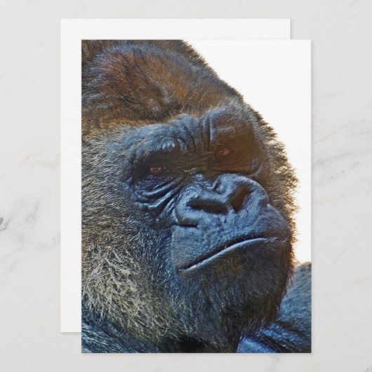 Karte von Dankbarkeit mit Gorilla (Vorne/Hinten)