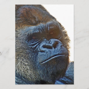 Karte von Dankbarkeit mit Gorilla