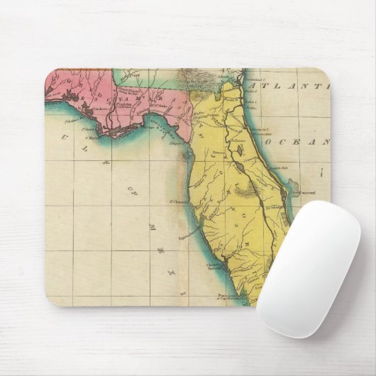 Karte von Florida Mousepad (Mit Mouse)