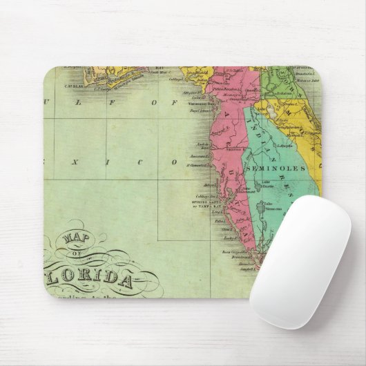 Karte von Florida Mousepad (Mit Mouse)