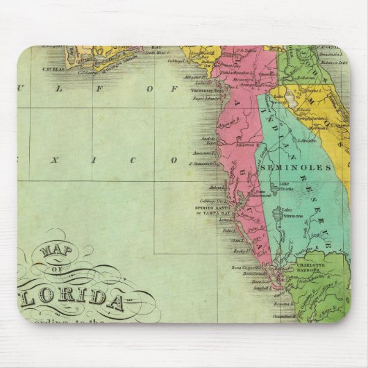 Karte von Florida Mousepad (Vorne)
