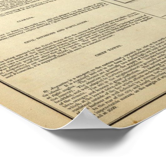 Karte von Florida Poster (Ecke)