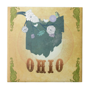 Karte von Ohio mit hübschen Vögeln Fliese