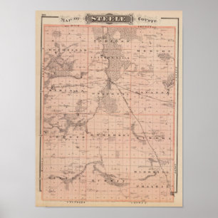 Karte von Steele Landkreis, Minnesota Poster