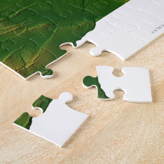 Karte von Washington 3 Puzzle (Seite)