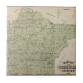 Karte von Wright County, Minnesota Fliese (Vorderseite)