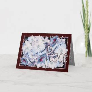 Karte, Weihnachten, Neujahr, Urlaub - Poinsettia Feiertagskarte