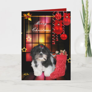 Karte Weihnachten Xmas Hund Shitzu Welpe