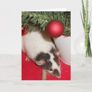 Karte: Weihnachtsratten Feiertagskarte