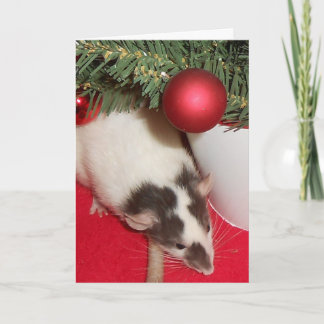 Karte: Weihnachtsratten Feiertagskarte