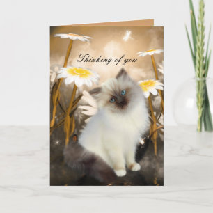 Karte Weiße Katze Kätzchen Blumen "Ich denke an Si