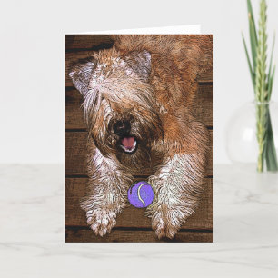 Karte: "Wollen Sie, um zu spielen? " Feiertagskarte