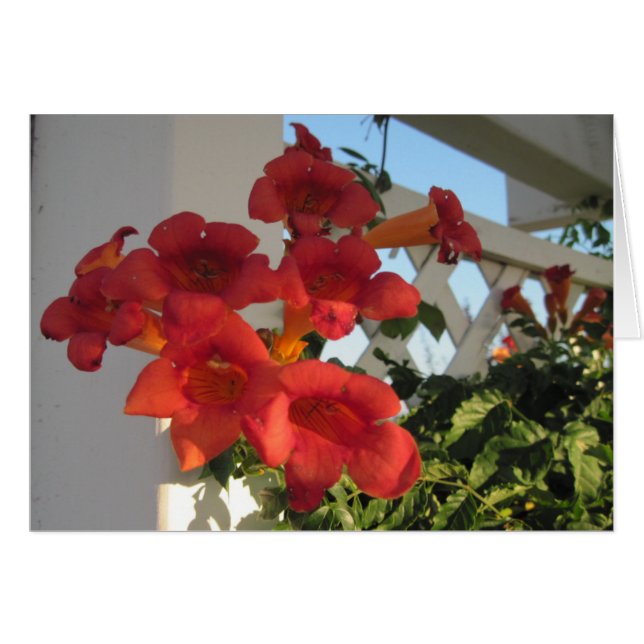 Karte zum Komfort einer geliebten Person an einem  (Vorderseite (Horizontal))