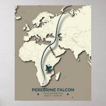 Karte zur Migration von Peregrine Falcon - Minimal