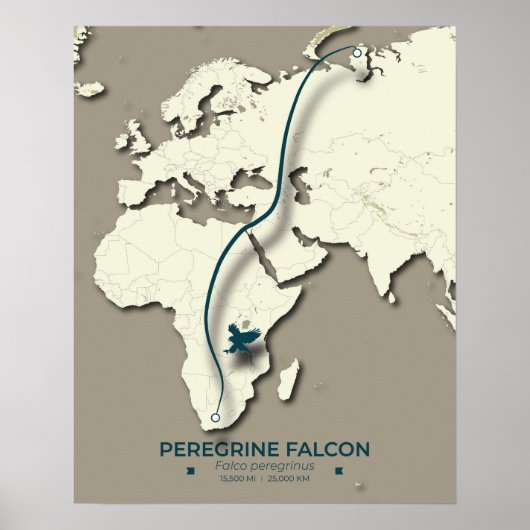 Karte zur Migration von Peregrine Falcon - Minimal Poster (Vorne)