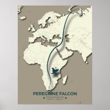 Karte zur Migration von Peregrine Falcon - Minimal