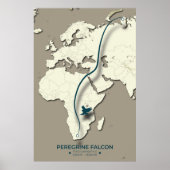 Karte zur Migration von Peregrine Falcon - Minimal Poster (Vorne)