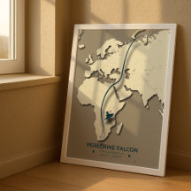 Karte zur Migration von Peregrine Falcon - Minimal