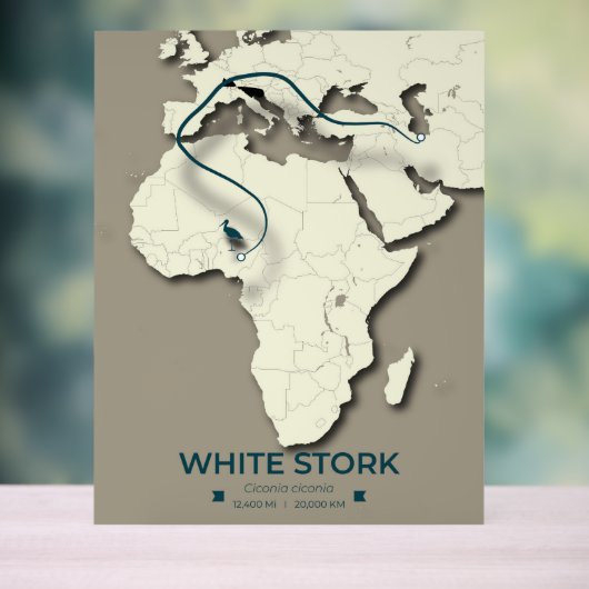 Karte zur Migration von Weißstorchen - Minimalisti Acrylschild (Neutral)