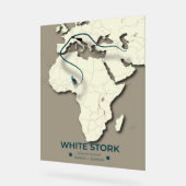 Karte zur Migration von Weißstorchen - Minimalisti Acrylschild (Winkel)