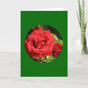 Karte, "zwei Rote Rosen im Kreis" O-1 Karte