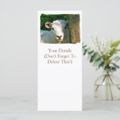 KARTEN (Stehend Vorderseite)