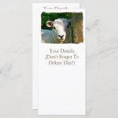 KARTEN (Vorne/Hinten)