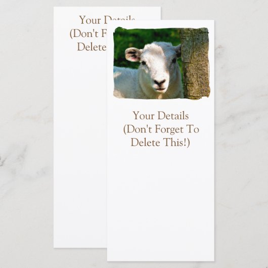 KARTEN (Vorne/Hinten)