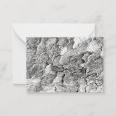 Karten (Vorderseite)