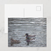 Karten auf der Postkarte (Vorne/Hinten)