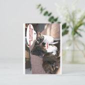 Karten: Crapola Postkarte (Stehend Vorderseite)