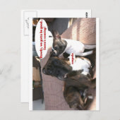 Karten: Crapola Postkarte (Vorne/Hinten)