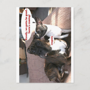 Karten: Crapola Postkarte