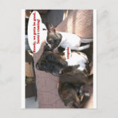 Karten: Crapola Postkarte (Vorderseite)