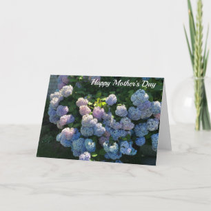 Karten-freier Raum der Hydrangea-glücklicher Karte