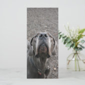 Karten für die große Dane Nose Menue (Stehend Vorderseite)