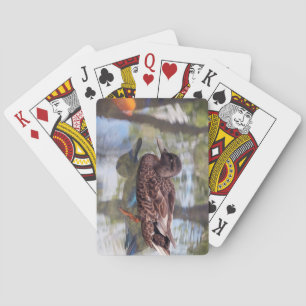 Karten für Enten- und Fischteiche Spielkarten