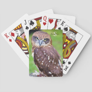 Karten für Eule Spielkarten