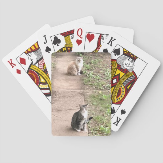 Karten für Katzen Spielkarten (Rückseite)