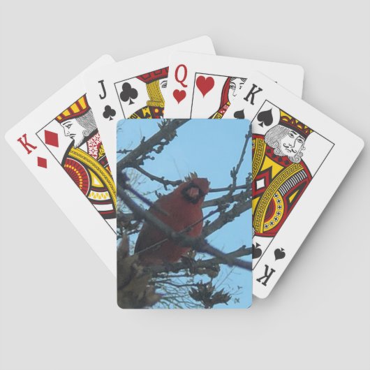 Karten mit Kardinalen Spielkarten (Rückseite)