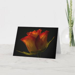 Karten-- orange u. gelbe Rose Karte
