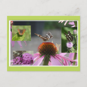 Karten-Schmetterling-Collage DIY-Postkarte Feiertagspostkarte
