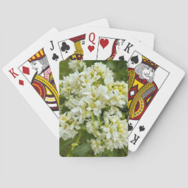 Karten spielen spielkarten