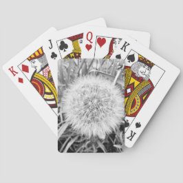 Karten spielen spielkarten