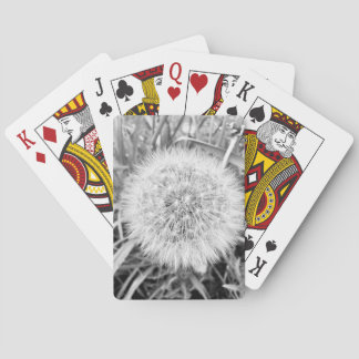 Karten spielen spielkarten