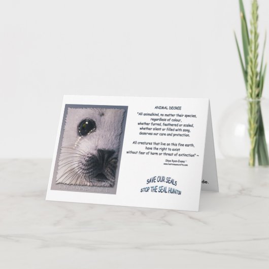 Karten "TIERE DECREE" (Vorderseite)