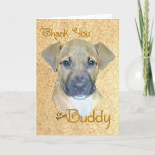 Karten zur Dankeschön-Buddy