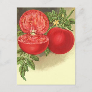 Kartendesign für Rezepte zur Weitergabe von Rezept Postkarte