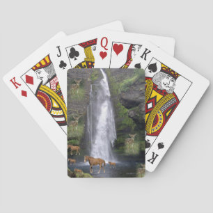 Kartenhalterung für Pferde Spielkarten