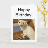 Kartenhalterung Karte (Gelbe Blume)